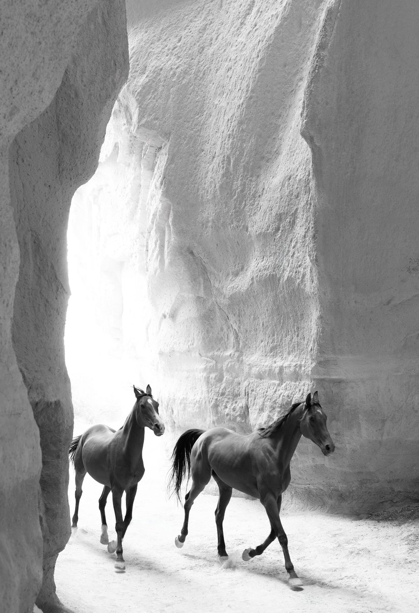 The Twins — Light & Shadow Collection by Christian Parrett